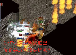 如何快速上手SS联盟传奇并成为顶尖玩家? 如何快速上手SS联盟传奇并成为顶尖玩家?