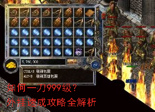 如何一刀999级?外挂速成攻略全解析 如何一刀999级?外挂速成攻略全解析