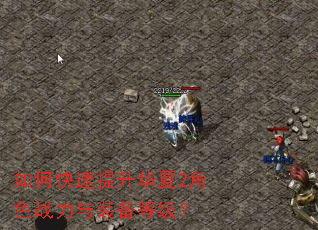 如何快速提升华夏2角色战力与装备等级? 如何快速提升华夏2角色战力与装备等级?