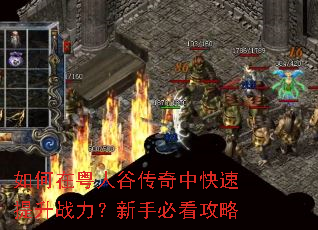 如何在粤人谷传奇中快速提升战力?新手必看攻略 如何在粤人谷传奇中快速提升战力?新手必看攻略