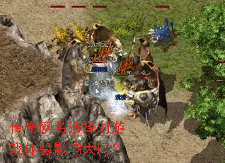 传奇网名选择对游戏体验影响大吗? 传奇网名选择对游戏体验影响大吗?