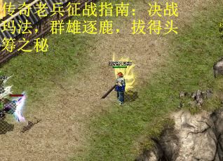 传奇老兵征战指南：决战玛法，群雄逐鹿，拔得头筹之秘