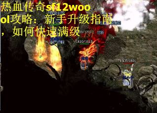 热血传奇sf12woool攻略：新手升级指南，如何快速满级