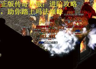 正版传奇私服：进阶攻略，助你踏上玛法巅峰