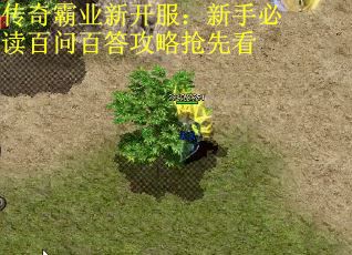 传奇霸业新开服：新手必读百问百答攻略抢先看