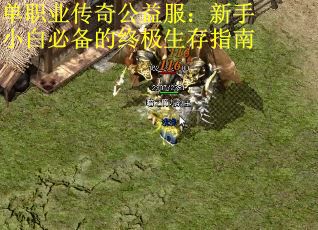 单职业传奇公益服：新手小白必备的终极生存指南