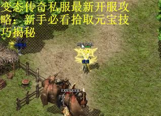变态传奇私服最新开服攻略：新手必看拾取元宝技巧揭秘