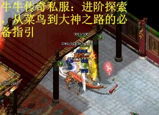 牛牛传奇私服：进阶探索，从菜鸟到大神之路的必备指引