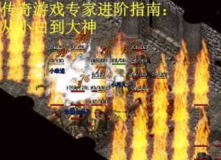 传奇游戏专家进阶指南：从小白到大神