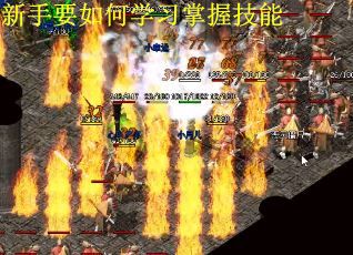 新手要如何学习掌握技能