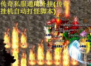 传奇私服通用外挂(传奇挂机自动打怪脚本)