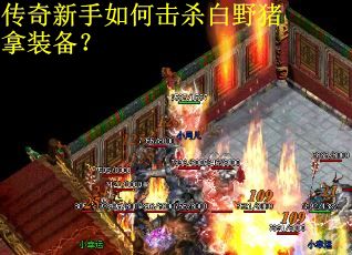 传奇新手如何击杀白野猪拿装备？
