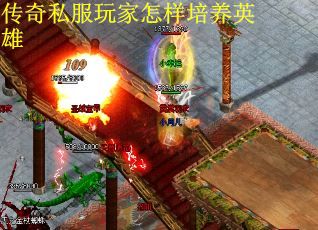传奇私服玩家怎样培养英雄