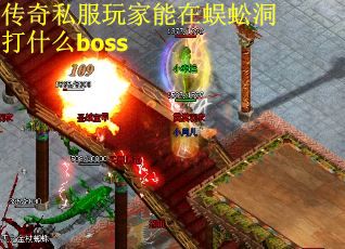 传奇私服玩家能在蜈蚣洞打什么boss