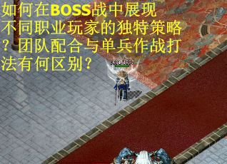 如何在BOSS战中展现不同职业玩家的独特策略？团队配合与单兵作战打法有何区别？
