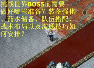 挑战世界BOSS前需要做好哪些准备？装备强化、药水储备、队伍搭配、战术布局以及沟通技巧如何安排？