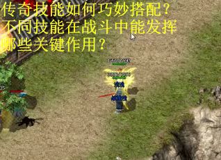 传奇技能如何巧妙搭配？不同技能在战斗中能发挥哪些关键作用？
