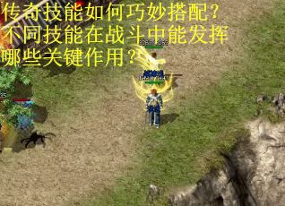 传奇技能如何巧妙搭配？不同技能在战斗中能发挥哪些关键作用？