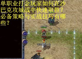 单职业打金玩家如何在沙巴克攻城战中快速取胜？必备策略与实战技巧有哪些？