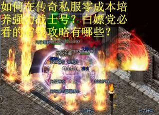 如何在传奇私服零成本培养强力战士号？白嫖党必看的省钱攻略有哪些？