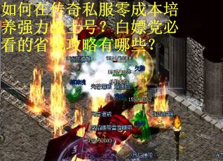 如何在传奇私服零成本培养强力战士号？白嫖党必看的省钱攻略有哪些？