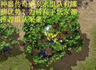 神器传奇采泉水组队有哪些优势？为何高手玩家都推荐组队采集？