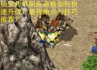 仙罡传单职业命格如何快速升级？最佳地点与技巧推荐？