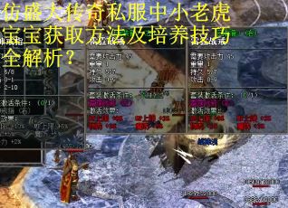 仿盛大传奇私服中小老虎宝宝获取方法及培养技巧全解析？