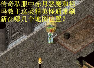 传奇私服中赤月恶魔和祖玛教主这类精英怪通常刷新在哪几个地图位置？
