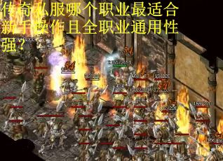传奇私服哪个职业最适合新手操作且全职业通用性强？