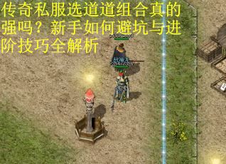 传奇私服选道道组合真的强吗？新手如何避坑与进阶技巧全解析