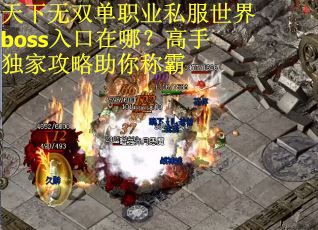 天下无双单职业私服世界boss入口在哪？高手独家攻略助你称霸