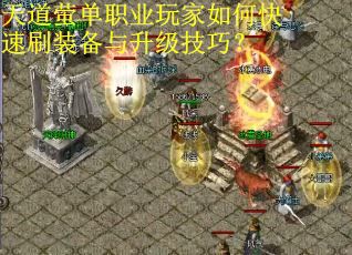 天道萤单职业玩家如何快速刷装备与升级技巧？