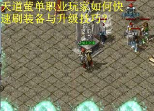 天道萤单职业玩家如何快速刷装备与升级技巧？