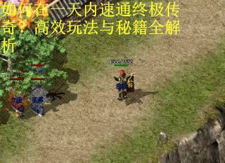 如何在一天内速通终极传奇？高效玩法与秘籍全解析