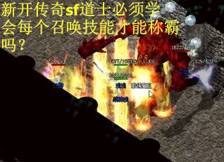 新开传奇sf道士必须学会每个召唤技能才能称霸吗？