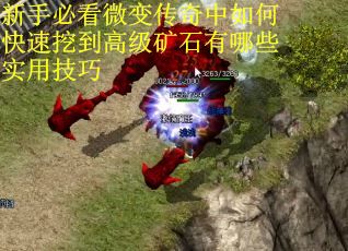 新手必看微变传奇中如何快速挖到高级矿石有哪些实用技巧