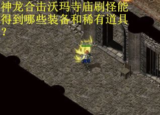 神龙合击沃玛寺庙刷怪能得到哪些装备和稀有道具？