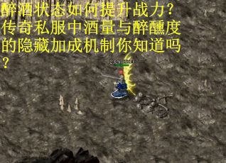 醉酒状态如何提升战力？传奇私服中酒量与醉醺度的隐藏加成机制你知道吗？