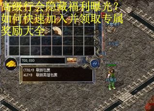 高级行会隐藏福利曝光？如何快速加入并领取专属奖励大全